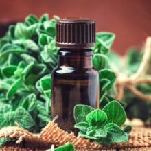 روغن پونه زیتونی