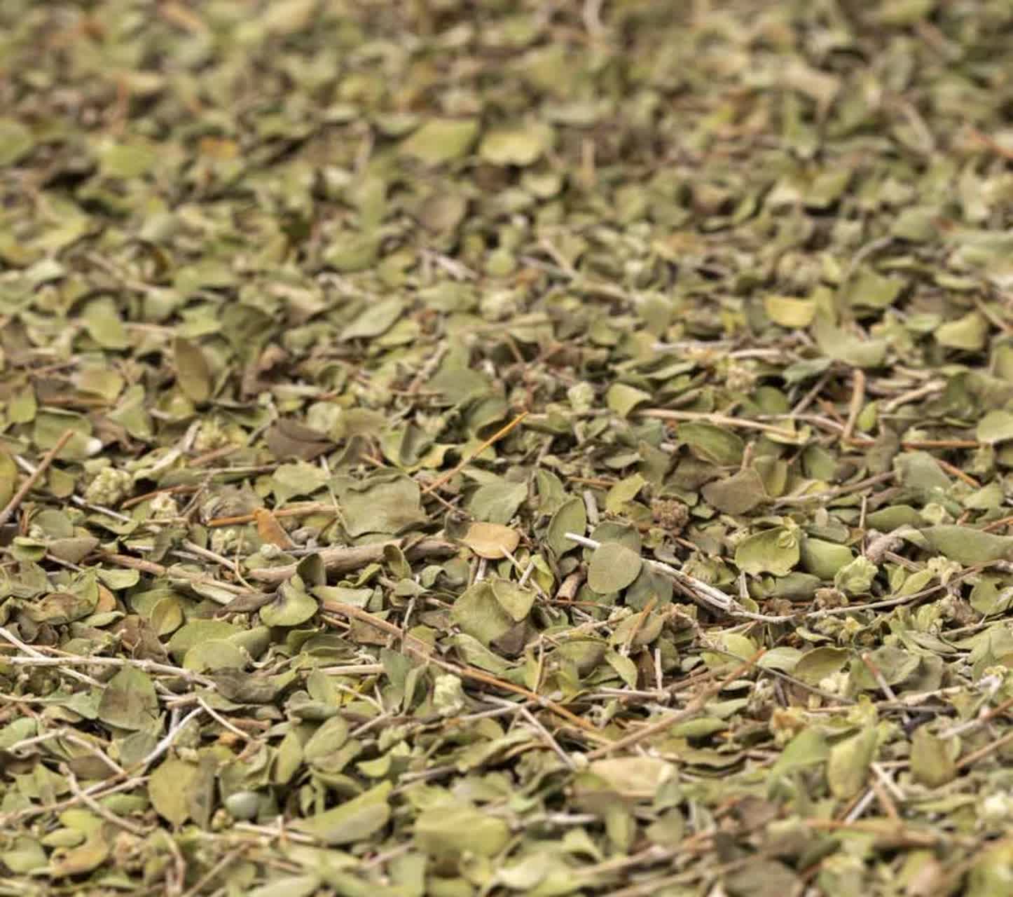 آویشن شیرازی